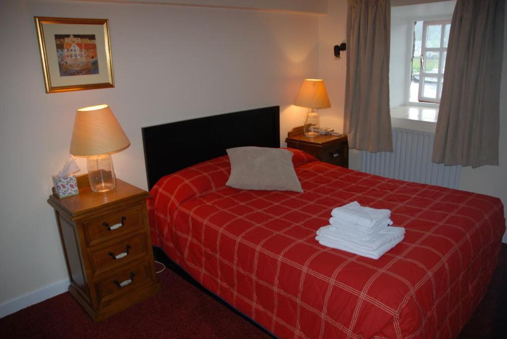 Waterside Guesthouse Graiguenamanagh Buitenkant foto